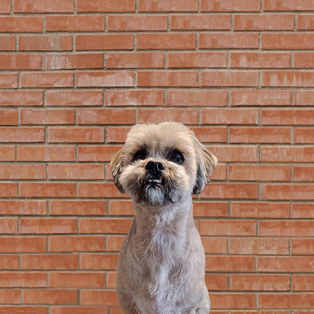 Eddie