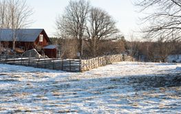 Swedish landscape in winter