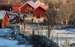 View over a swedsih villagei n winter