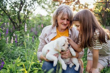 Little girl and her grandmother are looking at cute...