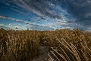 Clouds over grass on sand dunes