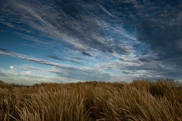 Clouds over grass on sand dunes