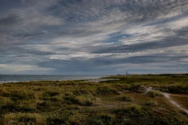 Clouds over grass on sand dunes