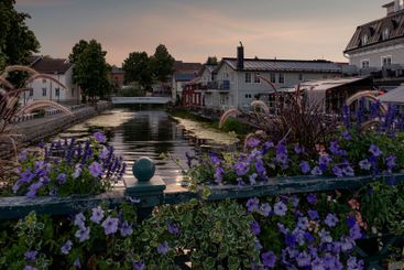 Flowers on bridge over river