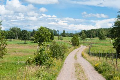 Landscape with dirt road in rural Sweden