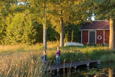 Summer evening at the lake