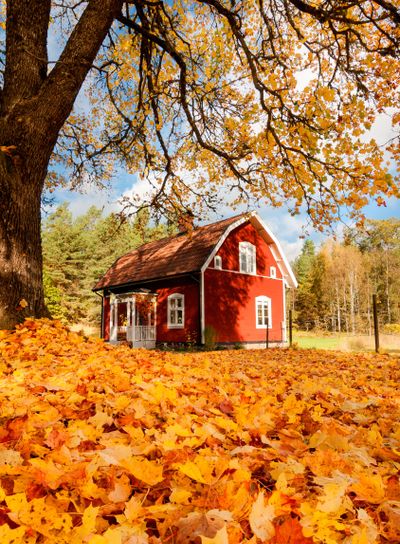 Red wooden cottage in Småland, Sweden