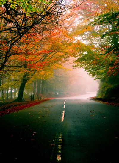 Beautiful road