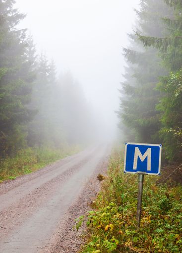 Meeting place road sign by a foggy forest road